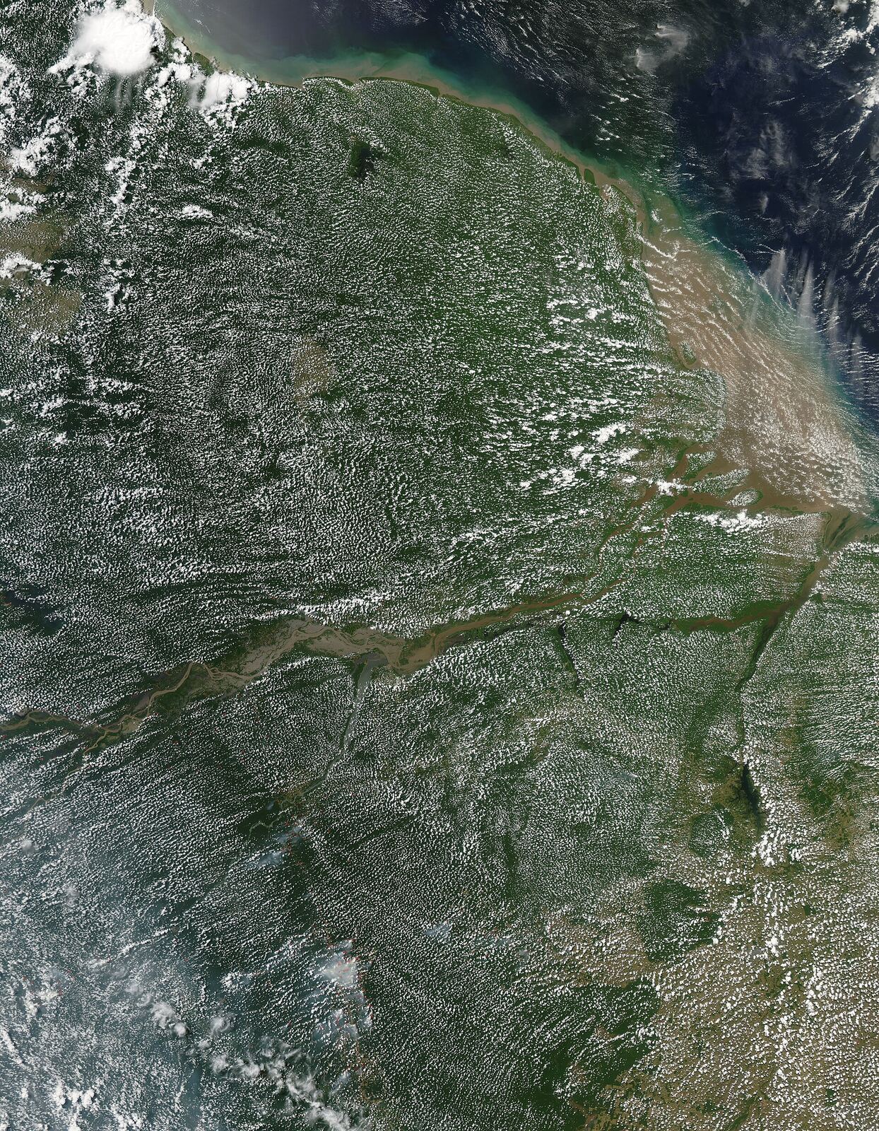 Imagem de satélite da floresta amazônica coberta por pequenas nuvens de tarde, cortada por rios.